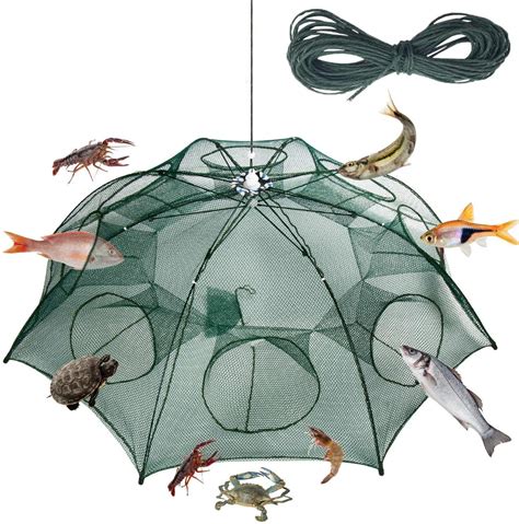 Amazon.com: Fish Net Trap.